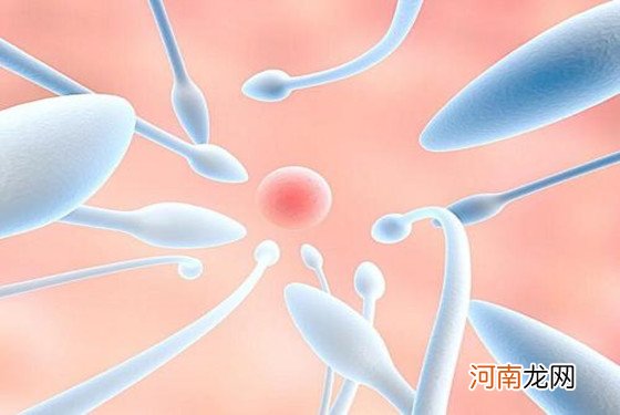 精子72小时后受孕能力 别把它想得太过强大