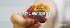 小龙虾头里的是虾黄吗