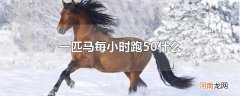一匹马每小时跑50什么
