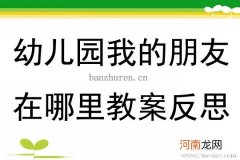 大班社会活动真正的朋友教案反思