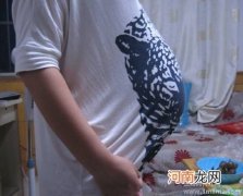 孕晚期什么有助于顺产