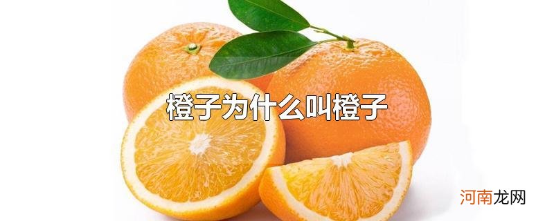 橙子为什么叫橙子