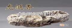 直播间的龙涎香是什么