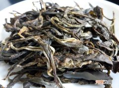 倚邦古树茶口感特点 倚邦普洱茶特点