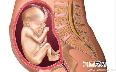 孕晚期怎样控制胎儿体重