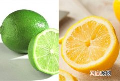 青柠檬和黄柠檬的区别 柠檬和什么泡水喝减肥