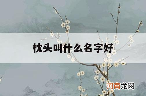 枕头叫什么名字好_枕头又叫什么名字