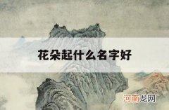 花朵起什么名字好_好看的花朵名字