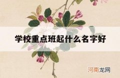 学校重点班起什么名字好_各地重点班的名称