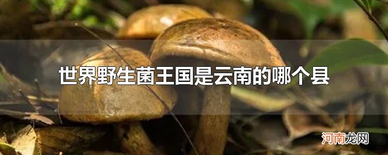 世界野生菌王国是云南的哪个县