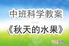 中班数学买水果教案反思