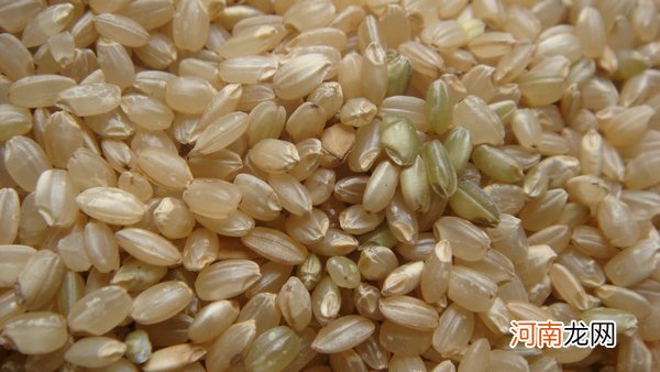 糙米的营养价值及功效与作用