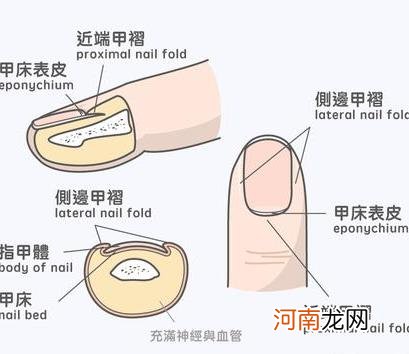 宝宝指甲不平有凹凸是什么原因？详解健身生活知识