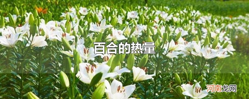 百合的热量