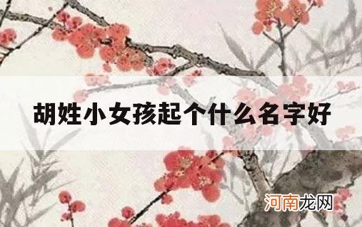 胡姓小女孩起个什么名字好_姓胡女孩小名叫什么好听