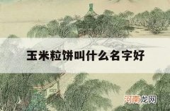 玉米粒饼叫什么名字好_玉米饼子是哪里的