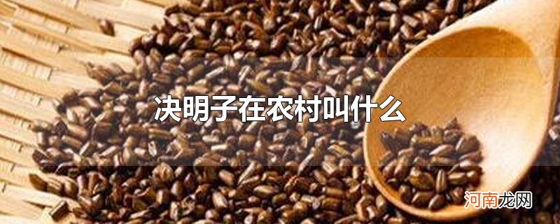 决明子在农村叫什么