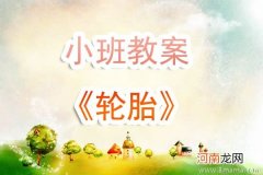 附教学反思 小班健康活动教案：快乐小球教案