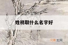 姓初取什么名字好_初这个名字怎么样