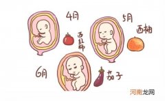 孕妇4四个月注意事项(怀孕4到6个月要注意事项什么）