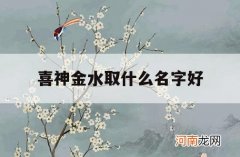 喜神金水取什么名字好_喜神是金怎么取名字