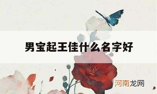 男宝起王佳什么名字好_男宝宝取名王佳什么