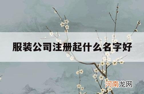 服装公司注册起什么名字好_服装注册公司名称怎么起