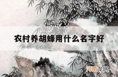 农村养胡蜂用什么名字好_适合养蜂的植物