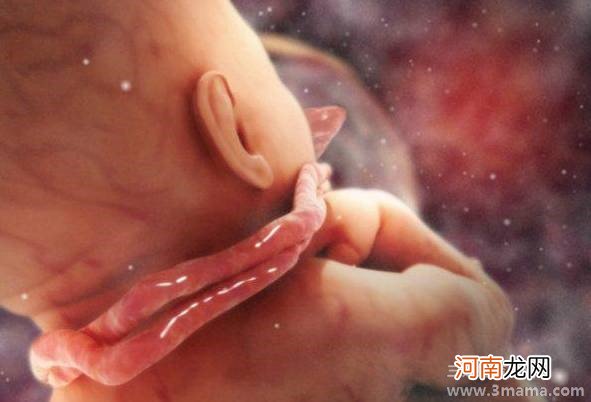 孕晚期生气对胎儿有影响吗