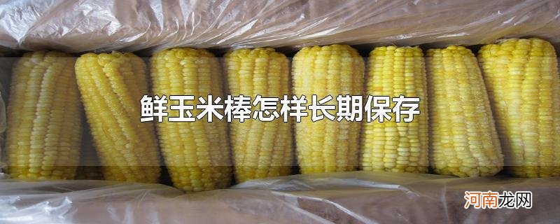 鲜玉米棒怎样长期保存