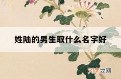 姓陆的男生取什么名字好_姓陆的男孩取什么名字好听