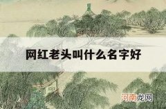 网红老头叫什么名字好_网红小老头是哪里人