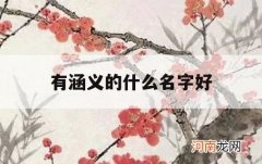 有涵义的什么名字好_寓意好有内涵名字