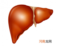 肝炎早期常见的七种症状