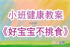 附教学反思 大班健康活动教案：做个不挑食的乖孩子教案