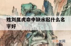 姓刘属虎命中缺水起什么名字好_刘姓取名缺金缺水