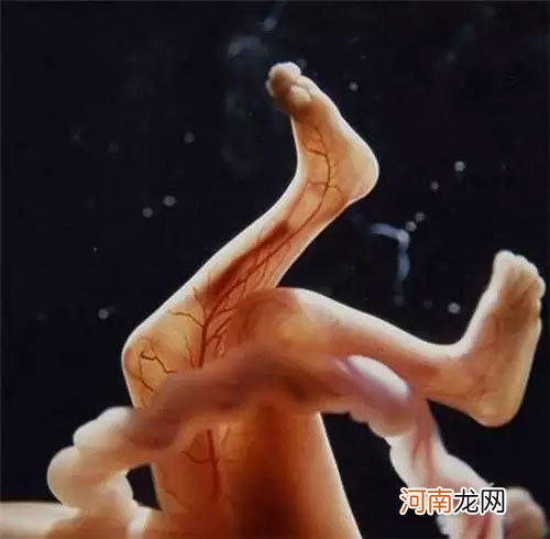 精子进入女人体内全过程 孕育新生命竟然是这么的神奇