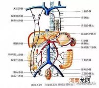 肝病引起的腹胀吃什么药好