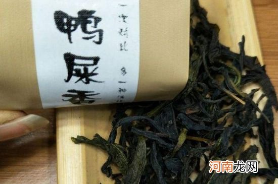 凤凰单丛茶鸭屎香，凤凰单丛茶为什么叫鸭屎香