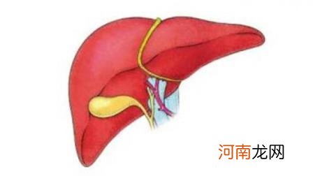 慢性肝炎能活几年