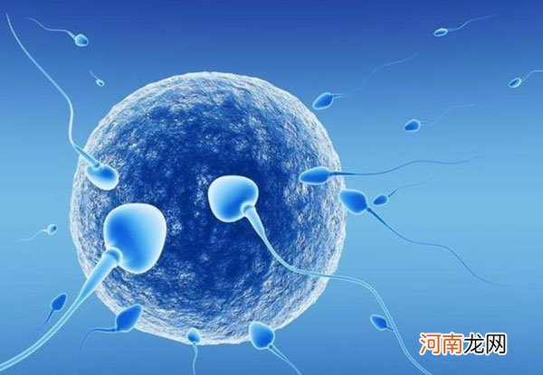取卵成功后多久移植 试管婴儿取卵后多久可以移植