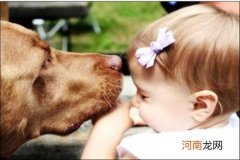 狂犬疫苗多少钱一针 狂犬疫苗5针多少钱