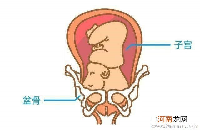 孕晚期加快胎儿入盆