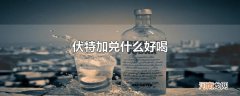 伏特加兑什么好喝