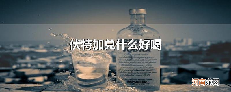 伏特加兑什么好喝