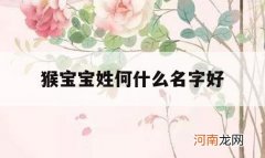 猴宝宝姓何什么名字好_姓何属猴的女孩子名字