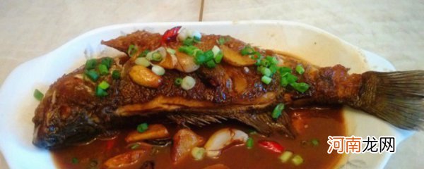 红烧鲈鱼怎么做好吃 红烧鲈鱼的烹饪方法