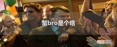 蟹bro是个啥