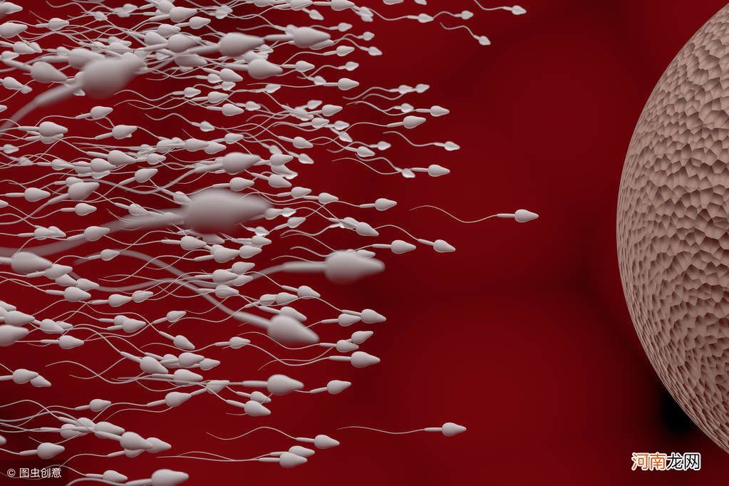 怀孕初期停胎有征兆吗 怎么判断孕囊停止发育