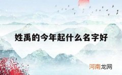 姓禹的今年起什么名字好_禹字起名字代表什么